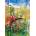 Bluebird Puzzle - Puzzle Bluebirds on a Bicycle - 1 000 piese