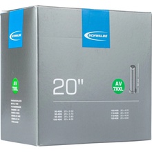 Schwalbe AV