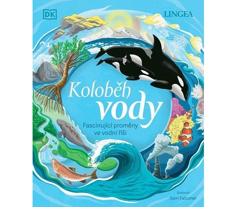 Koloběh vody