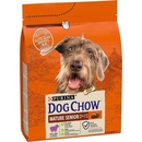 Dog Chow Senior Lamb 2,5 kg
