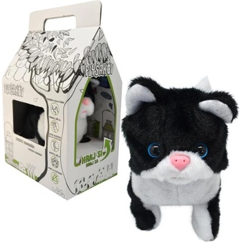 Котенцето Лиза