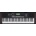 Roland E-X10