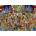 Anatolian - Puzzle Simpatico - 1 000 piese