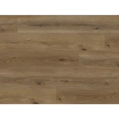EBS Experto LVT 55 22,9 x 152,4 Dub Adax 4,181 m2