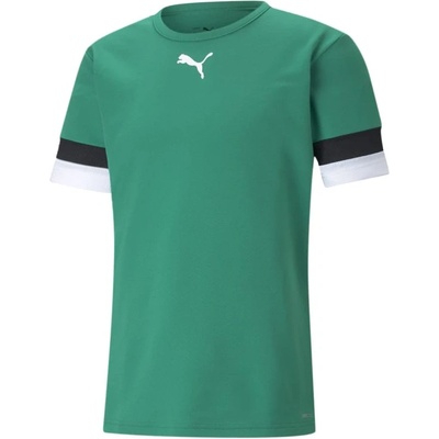 Puma teamRISE pánské zelená