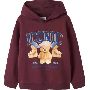 NAME IT Суитшърт nkfrycca ls nreg sweat wh bru box (493714958709)
