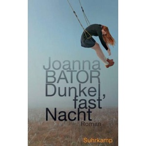 Dunkel, fast Nacht | Lisa Palmes (ISBN: 9783518471197)