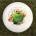 Eurodisc Apple