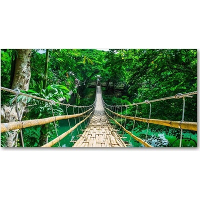 Foto obraz sklo tvrzené Most tropický les 100x50 cm