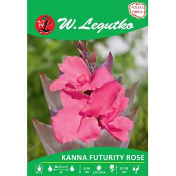 W. Legutko Канна Futurity Rose розова 1 бр