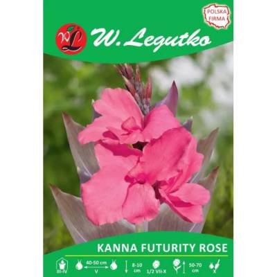 W. Legutko Канна Futurity Rose розова 1 бр