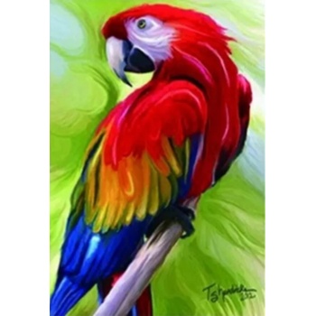 Image 1 of Папагал Ара 30/40 см