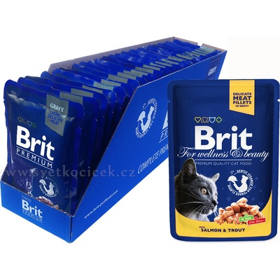 Brit Premium Cat Chicken & Turkey 24 x 100 g