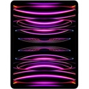 Apple iPad Pro 12.9 (2022) 256GB Wi-Fi Space Gray MNXR3FD/A