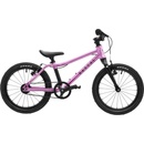 RASCAL Raspberry 2026