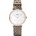 Cluse CL61007