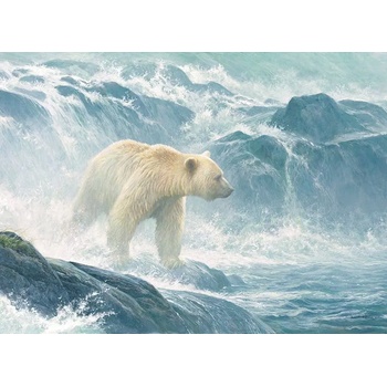 Cobble Hill - Puzzle Salmon Watch - Spirit Bear 500 - 500 piese