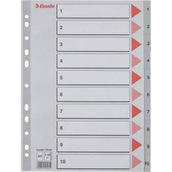 ESSELTE Регистър ESSELTE A/4 plastic 1-10 100105 (100105)
