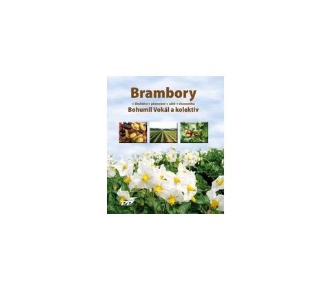 Brambory