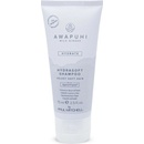 Paul Mitchell Awapuhi Wild Ginger Hydrasoft Shampoo 75 ml