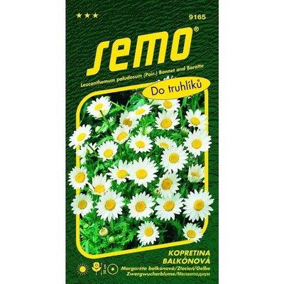 Saloos Natur Aroma Airspray Eucalyptus 50 ml