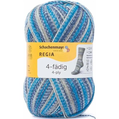 Regia 4-Ply Color 4898 water color