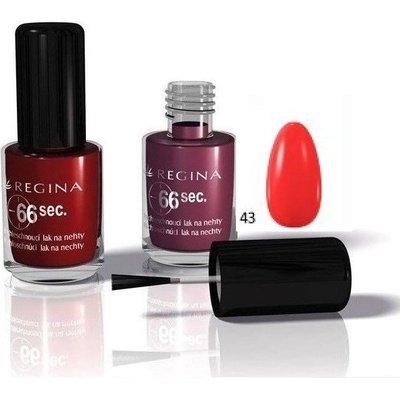 Regina lak na nehty rychleschnoucí R43 8 ml
