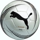 Puma King Fifa Inspected