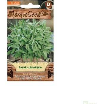 Semínka MoravoSeed Šalvěj lékařská 71739
