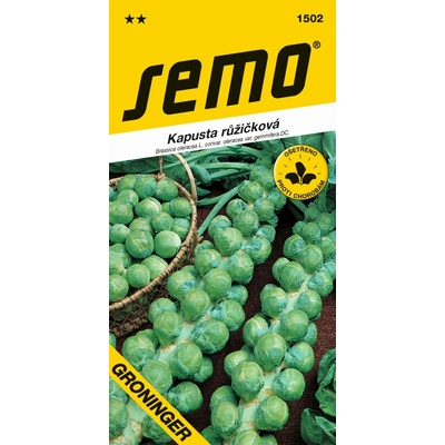 SEMO Kapusta růžičková Groninger