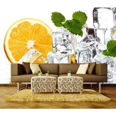 Dimex XL-249 vliesová fototapeta na zeď Lemon and ice rozměry 330 x 220 cm