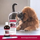 Pulmo alfa 100 ml