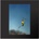 Yeah Yeah Yeahs - Cool It Down (CD) (656605047027)