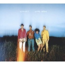 WEAVES: WIDE OPEN LP