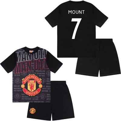 Fan-shop Manchester United Crest Mount