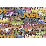 DIMEX ART Флизелинов фототапет графити 375 x 250 см