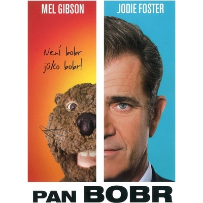Pan Bobr DVD