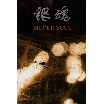 Image 1 of qiutaixu studio Silver Soul (PC)