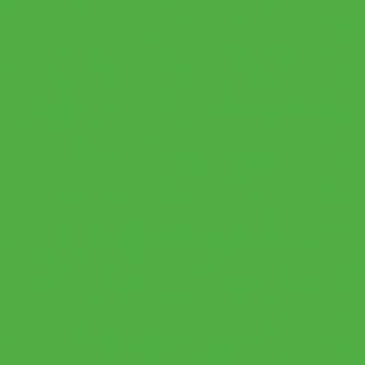 Alkyton Hladký RAL 6018 0,75L