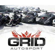 Race Driver: GRID Autosport