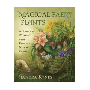 Magical Faery Plants | Sandra Kynes (ISBN: 9780738770321)