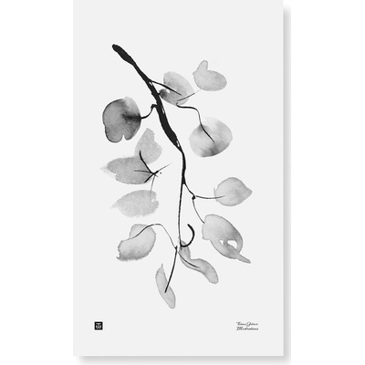 Plagát Birch Branch 30x50