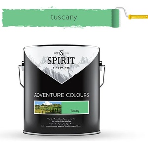 SPIRIT БОЯ ИНТЕРИОРНА spirit ac 2.5л tuscany (20-101114)