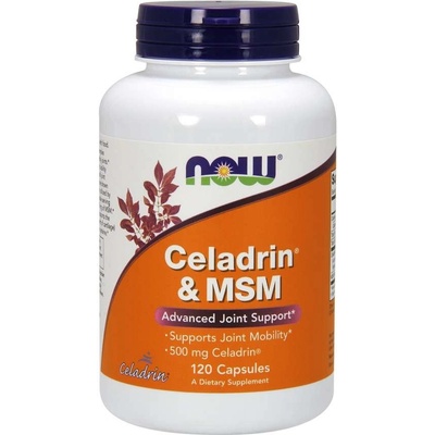 NOW Foods Celadrin a MSM 500 mg 120 kapsúl