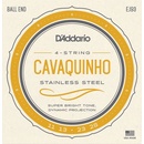 D'Addario EJ93