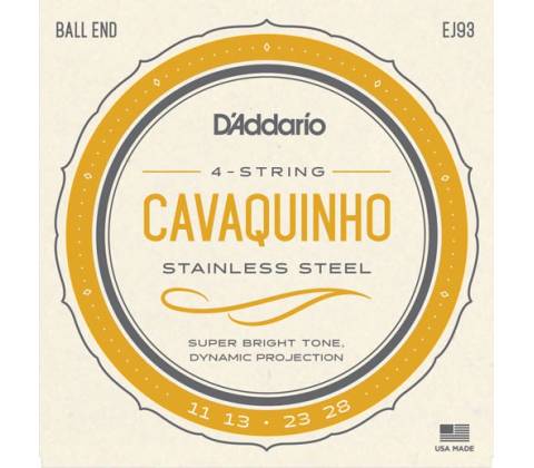 D'Addario EJ93