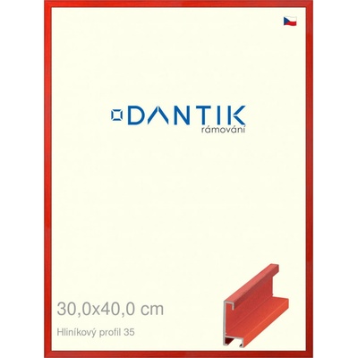 DANTIK rám na obraz 30 x 40 Dýha barevná červená třešeň