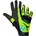 HAVEN Demo polar m