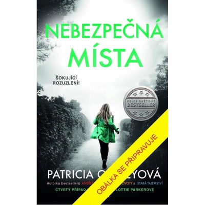 Nebezpečná místa - Patricia Gibneyová