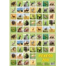 Teddies Pexeso ZOO II